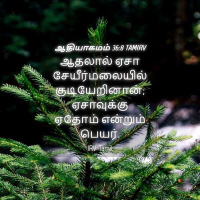Picture 04 - ஆதியாகமம் 36:8 TAMIRV - ஆதலால் ஏசா - Bible Verse Picture