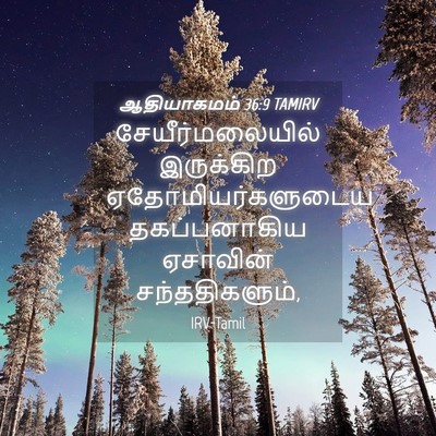 Picture 04 - ஆதியாகமம் 36:9 TAMIRV - சேயீர்மலையில் - Bible Verse Picture