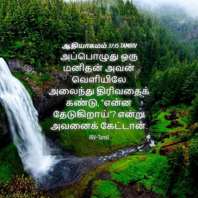 Picture 04 - ஆதியாகமம் 37:15 TAMIRV - அப்பொழுது ஒரு - Bible Verse Picture