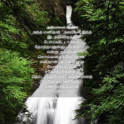 Picture 04 - ஆதியாகமம் 37:17 TAMIRV - அந்த மனிதன்: - Bible Verse Picture