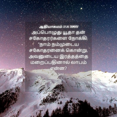 Picture 04 - ஆதியாகமம் 37:26 TAMIRV - அப்பொழுது யூதா - Bible Verse Picture