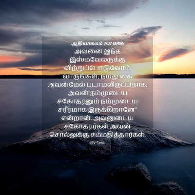 Picture 04 - ஆதியாகமம் 37:27 TAMIRV - அவனை இந்த - Bible Verse Picture