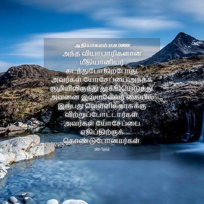 Picture 04 - ஆதியாகமம் 37:28 TAMIRV - அந்த வியாபாரிகளான - Bible Verse Picture