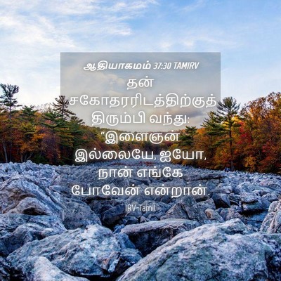 Picture 04 - ஆதியாகமம் 37:30 TAMIRV - தன் - Bible Verse Picture