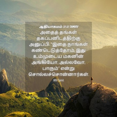 Picture 04 - ஆதியாகமம் 37:32 TAMIRV - அதைத் தங்கள் - Bible Verse Picture