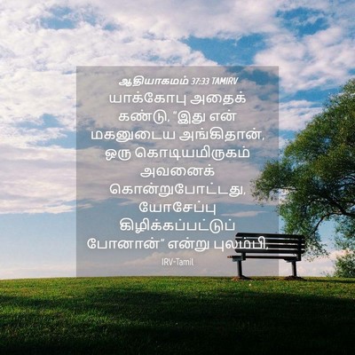 Picture 04 - ஆதியாகமம் 37:33 TAMIRV - யாக்கோபு அதைக் - Bible Verse Picture