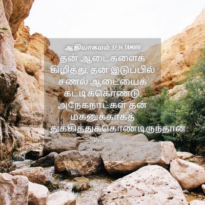 Picture 04 - ஆதியாகமம் 37:34 TAMIRV - தன் ஆடைகளைக் - Bible Verse Picture