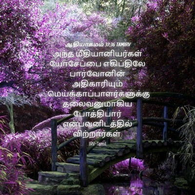 Picture 04 - ஆதியாகமம் 37:36 TAMIRV - அந்த - Bible Verse Picture