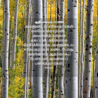 Picture 04 - ஆதியாகமம் 37:4 TAMIRV - அவனுடைய - Bible Verse Picture