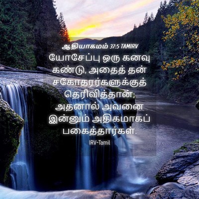 Picture 04 - ஆதியாகமம் 37:5 TAMIRV - யோசேப்பு ஒரு கனவு - Bible Verse Picture