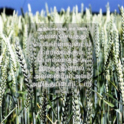 Picture 04 - ஆதியாகமம் 38:10 TAMIRV - அவன் செய்தது - Bible Verse Picture