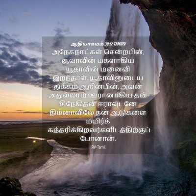 Picture 04 - ஆதியாகமம் 38:12 TAMIRV - அநேகநாட்கள் - Bible Verse Picture