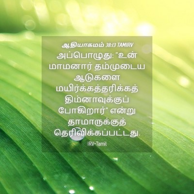 Picture 04 - ஆதியாகமம் 38:13 TAMIRV - அப்பொழுது: “உன் - Bible Verse Picture