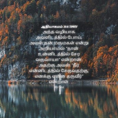 Picture 04 - ஆதியாகமம் 38:16 TAMIRV - அந்த வழியாக - Bible Verse Picture