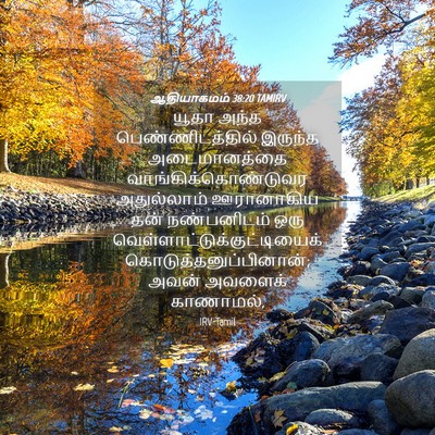 Picture 04 - ஆதியாகமம் 38:20 TAMIRV - யூதா அந்த - Bible Verse Picture