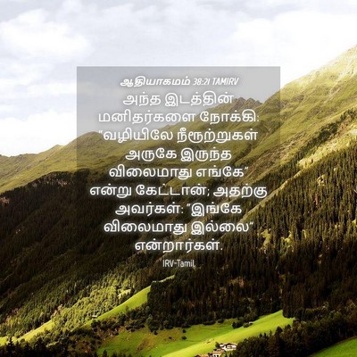 Picture 04 - ஆதியாகமம் 38:21 TAMIRV - அந்த இடத்தின் - Bible Verse Picture