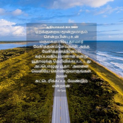 Picture 04 - ஆதியாகமம் 38:24 TAMIRV - ஏறக்குறைய - Bible Verse Picture