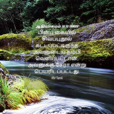 Picture 04 - ஆதியாகமம் 38:30 TAMIRV - பின்பு கையில் - Bible Verse Picture