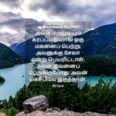 Picture 04 - ஆதியாகமம் 38:5 TAMIRV - அவள் மறுபடியும் - Bible Verse Picture
