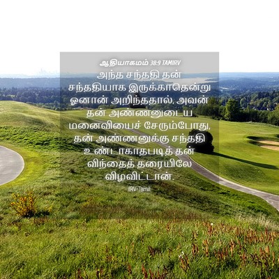 Picture 04 - ஆதியாகமம் 38:9 TAMIRV - அந்த சந்ததி தன் - Bible Verse Picture