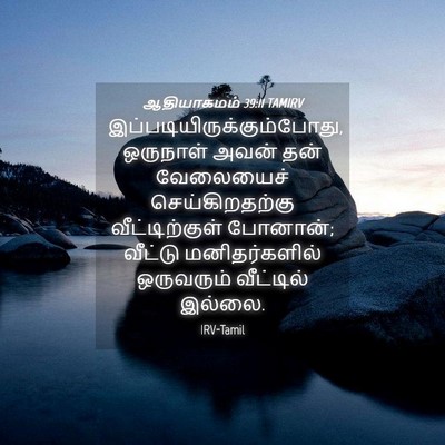 Picture 04 - ஆதியாகமம் 39:11 TAMIRV -  - Bible Verse Picture
