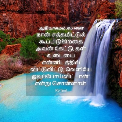 Picture 04 - ஆதியாகமம் 39:15 TAMIRV - நான் சத்தமிட்டுக் - Bible Verse Picture