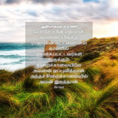 Picture 04 - ஆதியாகமம் 39:20 TAMIRV - யோசேப்பின் எஜமான் - Bible Verse Picture
