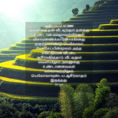 Picture 04 - ஆதியாகமம் 39:5 TAMIRV - அவனைத் தன் - Bible Verse Picture