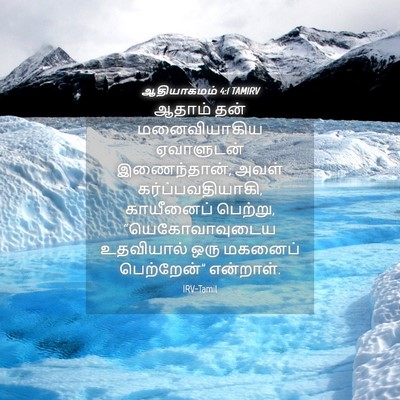 Picture 04 - ஆதியாகமம் 4:1 TAMIRV - ஆதாம் தன் - Bible Verse Picture