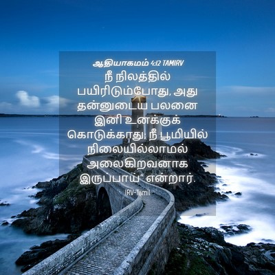Picture 04 - ஆதியாகமம் 4:12 TAMIRV - நீ நிலத்தில் - Bible Verse Picture