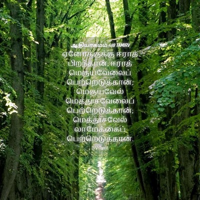 Picture 04 - ஆதியாகமம் 4:18 TAMIRV - ஏனோக்குக்கு ஈராத் - Bible Verse Picture