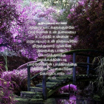 Picture 04 - ஆதியாகமம் 40:13 TAMIRV - மூன்று - Bible Verse Picture