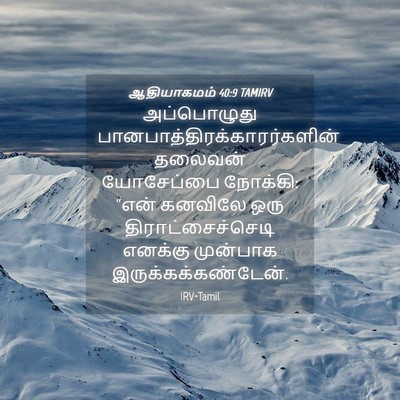 Picture 04 - ஆதியாகமம் 40:9 TAMIRV - அப்பொழுது - Bible Verse Picture