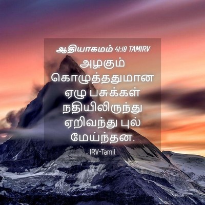 Picture 04 - ஆதியாகமம் 41:18 TAMIRV - அழகும் - Bible Verse Picture