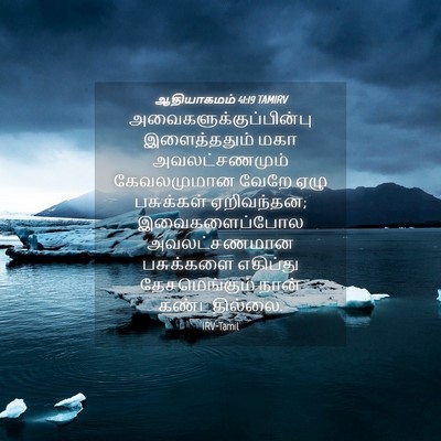Picture 04 - ஆதியாகமம் 41:19 TAMIRV -  - Bible Verse Picture