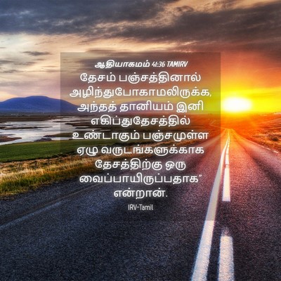 Picture 04 - ஆதியாகமம் 41:36 TAMIRV - தேசம் - Bible Verse Picture