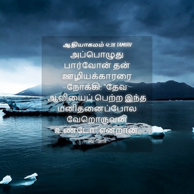 Picture 04 - ஆதியாகமம் 41:38 TAMIRV - அப்பொழுது - Bible Verse Picture