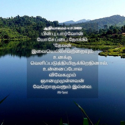 Picture 04 - ஆதியாகமம் 41:39 TAMIRV - பின்பு, பார்வோன் - Bible Verse Picture