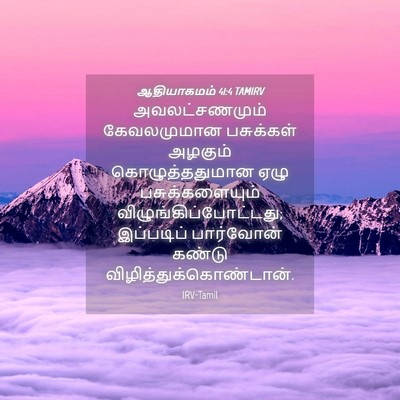 Picture 04 - ஆதியாகமம் 41:4 TAMIRV - அவலட்சணமும் - Bible Verse Picture
