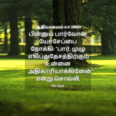 Picture 04 - ஆதியாகமம் 41:41 TAMIRV - பின்னும் பார்வோன் - Bible Verse Picture