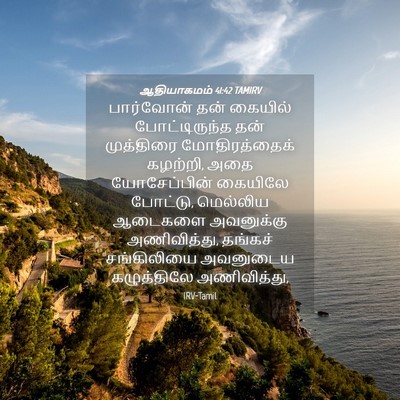 Picture 04 - ஆதியாகமம் 41:42 TAMIRV - பார்வோன் தன் - Bible Verse Picture