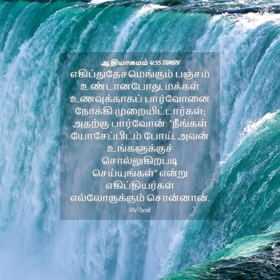 Picture 04 - ஆதியாகமம் 41:55 TAMIRV -  - Bible Verse Picture