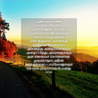 Picture 04 - ஆதியாகமம் 41:8 TAMIRV - காலையிலேயே - Bible Verse Picture