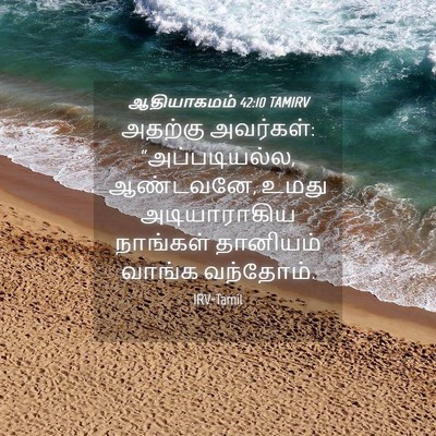 Picture 04 - ஆதியாகமம் 42:10 TAMIRV - அதற்கு அவர்கள்: - Bible Verse Picture