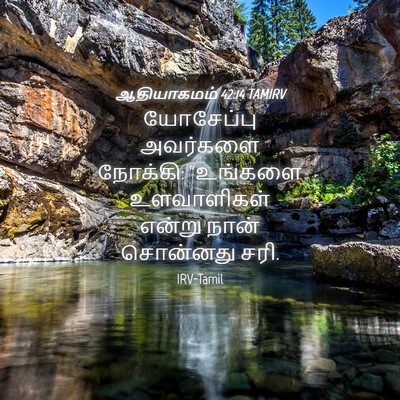 Picture 04 - ஆதியாகமம் 42:14 TAMIRV - யோசேப்பு அவர்களை - Bible Verse Picture