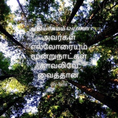 Picture 04 - ஆதியாகமம் 42:17 TAMIRV - அவர்கள் - Bible Verse Picture