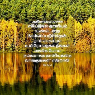 Picture 04 - ஆதியாகமம் 42:2 TAMIRV - எகிப்திலே தானியம் - Bible Verse Picture