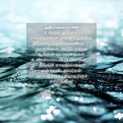 Picture 04 - ஆதியாகமம் 42:20 TAMIRV - உங்கள் இளைய - Bible Verse Picture