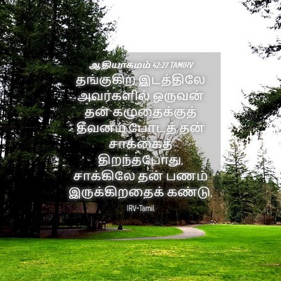 Picture 04 - ஆதியாகமம் 42:27 TAMIRV - தங்குகிற இடத்திலே - Bible Verse Picture