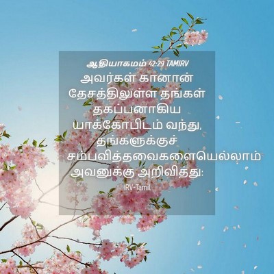 Picture 04 - ஆதியாகமம் 42:29 TAMIRV - அவர்கள் கானான் - Bible Verse Picture